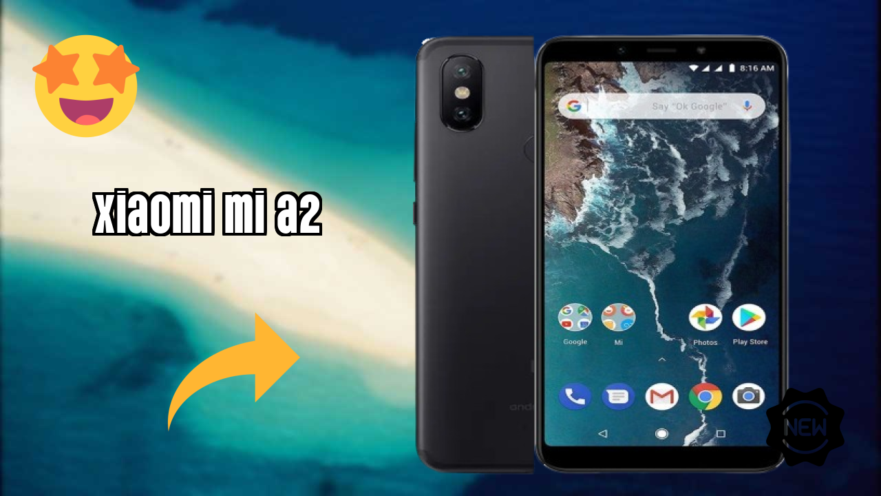 Xiaomi Mi A2 Display Quality: 5.99 Inches (15.21 Cm) Screen